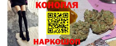 spice Обь