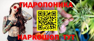 spice Обь