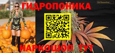 хмурый Обнинск