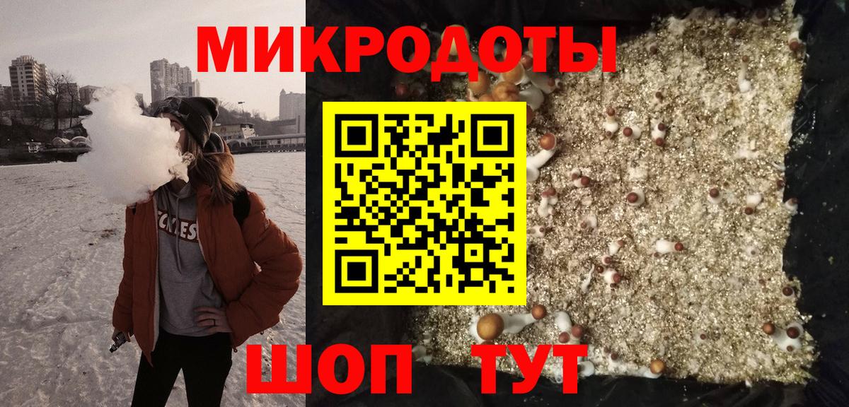 Псилоцибиновые грибы мицелий Партизанск