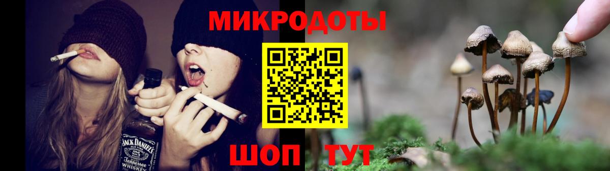 Партизанск  Псилоцибиновые грибы Psilocybe  Псилоцибиновые грибы GOLDEN TEACHER  Вход с VPN 